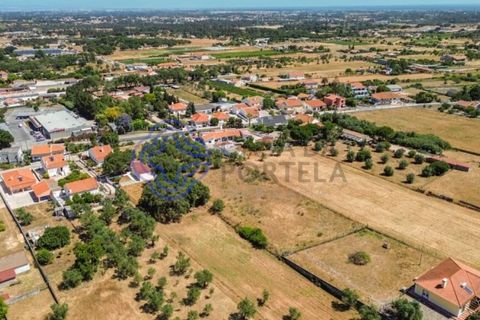 Helårsgrund i Palmela, Setubal, Palmela - € 320.000 | Ref: 1121261 - foto 18