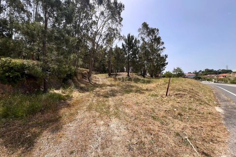 Helårsgrund i Obidos, Leiria, Obidos - € 298.000 | Ref: 0897-02192 - foto 2