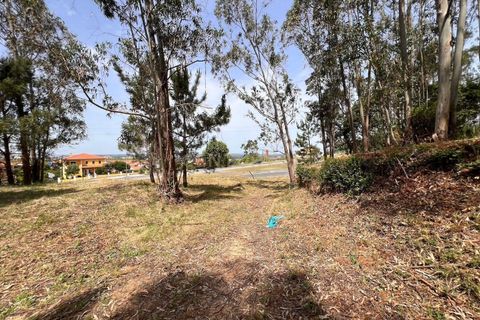Helårsgrund i Obidos, Leiria, Obidos - € 298.000 | Ref: 0897-02192 - foto 8