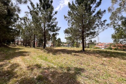 Helårsgrund i Obidos, Leiria, Obidos - € 298.000 | Ref: 0897-02192 - foto 9