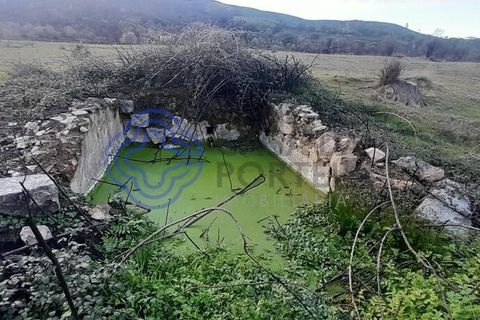 Landejendom i Fundao, Castelo Branco, Fundao - € 67.500 | Ref: 1119651 - foto 5