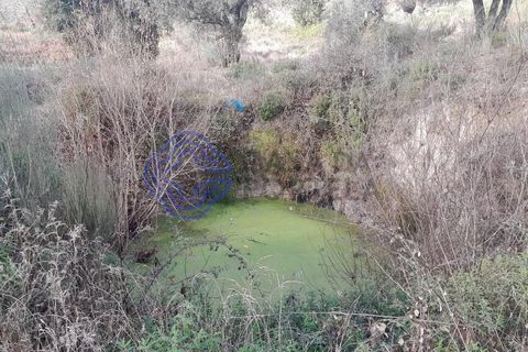 Byhus i Fundao, Castelo Branco, Fundao - € 125.000 | Ref: 1119381 - foto 12