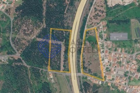 Helårsgrund i Viana do Castelo, Viana do Castelo, Viana do Castelo - € 4.990.000 | Ref: 1129071 - foto 3