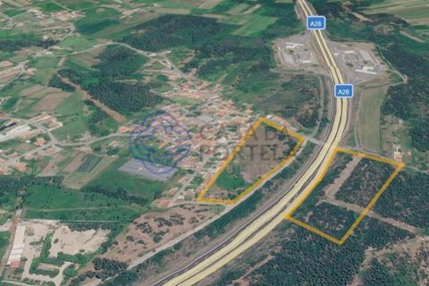 Helårsgrund i Viana do Castelo, Viana do Castelo, Viana do Castelo - € 4.990.000 | Ref: 1129071 - foto 4