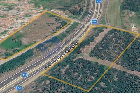 Helårsgrund i Viana do Castelo, Viana do Castelo, Viana do Castelo - € 4.990.000 | Ref: 1129071 - foto 5