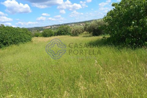 Helårsgrund i Tomar, Santarem, Tomar - € 60.000 | Ref: 1129611 - foto 1
