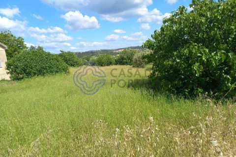 Helårsgrund i Tomar, Santarem, Tomar - € 60.000 | Ref: 1129611 - foto 2