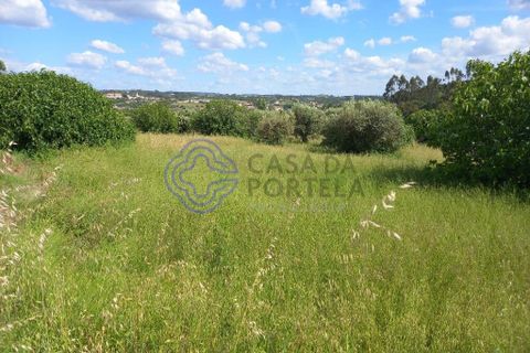 Helårsgrund i Tomar, Santarem, Tomar - € 60.000 | Ref: 1129611 - foto 3