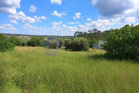 Helårsgrund i Tomar, Santarem, Tomar - € 60.000 | Ref: 1129611 - foto 9