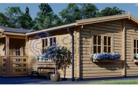 Helårsgrund i Tomar, Santarem, Tomar - € 60.000 | Ref: 1129611 - foto 17