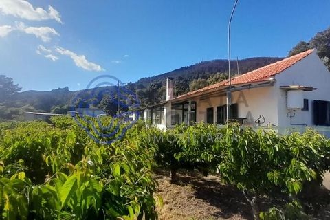 Byhus i Fundao, Castelo Branco, Fundao - € 225.000 | Ref: 1123411 - foto 1