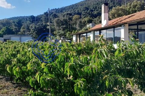 Byhus i Fundao, Castelo Branco, Fundao - € 225.000 | Ref: 1123411 - foto 4