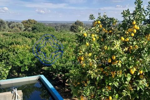 Byhus i Fundao, Castelo Branco, Fundao - € 225.000 | Ref: 1123411 - foto 5