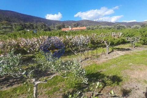 Byhus i Fundao, Castelo Branco, Fundao - € 225.000 | Ref: 1123411 - foto 6