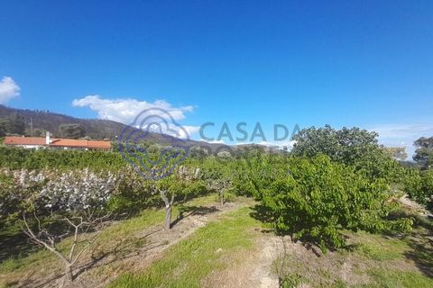 Byhus i Fundao, Castelo Branco, Fundao - € 225.000 | Ref: 1123411 - foto 7