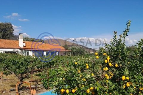 Byhus i Fundao, Castelo Branco, Fundao - € 225.000 | Ref: 1123411 - foto 8