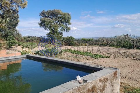 Byhus i Fundao, Castelo Branco, Fundao - € 225.000 | Ref: 1123411 - foto 9