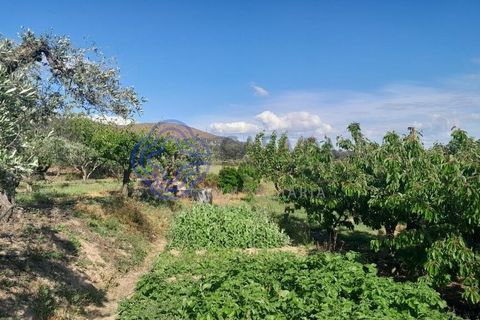 Byhus i Fundao, Castelo Branco, Fundao - € 225.000 | Ref: 1123411 - foto 11