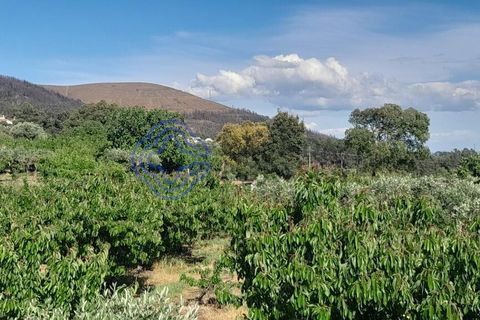 Byhus i Fundao, Castelo Branco, Fundao - € 225.000 | Ref: 1123411 - foto 13