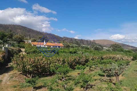 Byhus i Fundao, Castelo Branco, Fundao - € 225.000 | Ref: 1123411 - foto 14