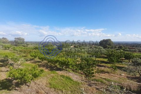 Byhus i Fundao, Castelo Branco, Fundao - € 225.000 | Ref: 1123411 - foto 15