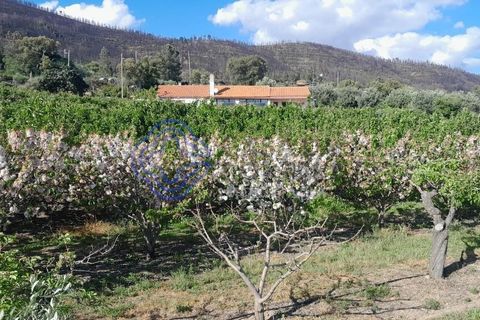 Byhus i Fundao, Castelo Branco, Fundao - € 225.000 | Ref: 1123411 - foto 16