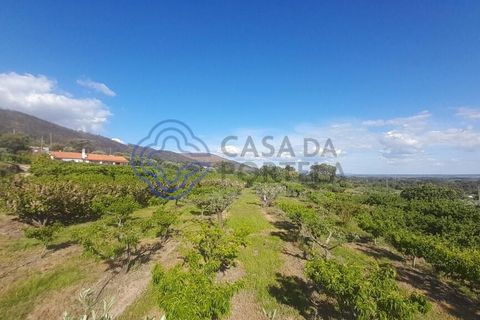 Byhus i Fundao, Castelo Branco, Fundao - € 225.000 | Ref: 1123411 - foto 17