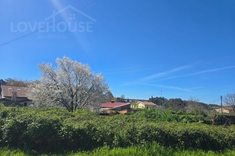 Helårsgrund i Agueda, Aveiro, Agueda - € 50.000 | Ref: LHP080526 - foto 4