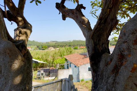 Villa a Rio Maior, Santarem, Rio Maior - € 90.000 | Ref: CAS_339 - foto 17