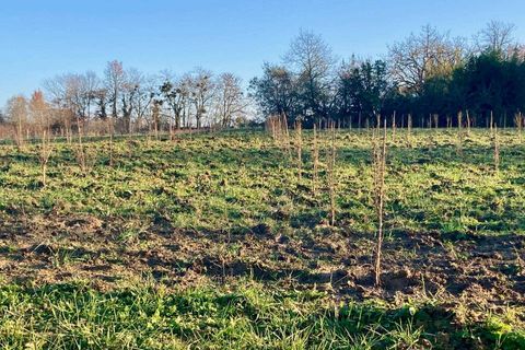Villa i Eauze, Gers, Eauze - € 195.000 | Ref: 12166DQ612 - foto 23