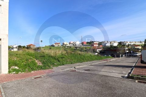 Helårsgrund i Amadora, Lisbon, Amadora - € 650.000 | Ref: NP0448-CS - foto 8