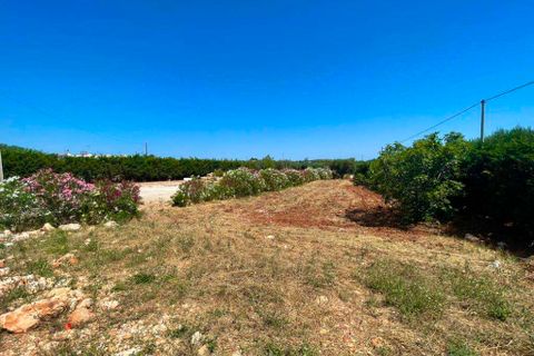 Villa i Ostuni, Brindisi, Ostuni - € 320.000 | Ref: RH-21038-property-1171742 - foto 13