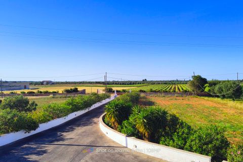 Villa i Carovigno, Brindisi, Carovigno - € 390.000 | Ref: RH-14781-property-1171891 - foto 23