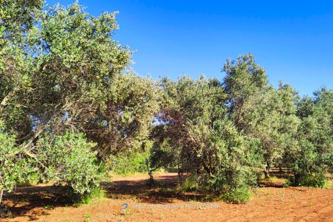 Villa i Carovigno, Brindisi, Carovigno - € 390.000 | Ref: RH-14781-property-1171891 - foto 25