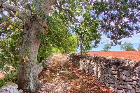 Villa a Cisternino, Brindisi, Cisternino - € 550.000 | Ref: RH-21441-property-1171971 - foto 10