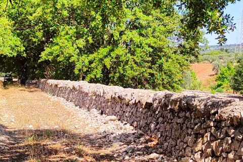 Villa a Cisternino, Brindisi, Cisternino - € 550.000 | Ref: RH-21441-property-1171971 - foto 12