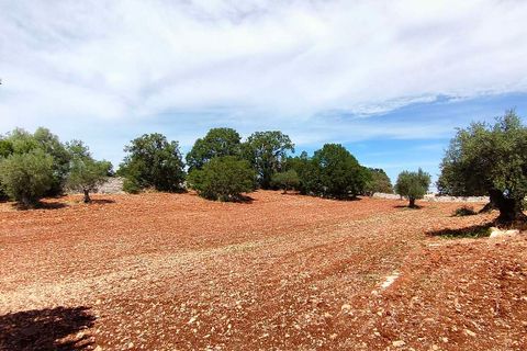 Villa a Cisternino, Brindisi, Cisternino - € 550.000 | Ref: RH-21441-property-1171971 - foto 14