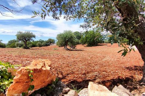 Villa a Cisternino, Brindisi, Cisternino - € 550.000 | Ref: RH-21441-property-1171971 - foto 15