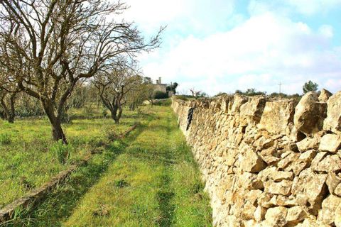 Farm hus i Ostuni, Brindisi, Ostuni - € 150.000 | Ref: RH-23041-property-1172289 - foto 1