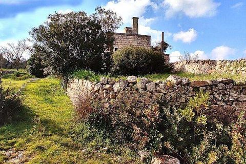 Farm hus i Ostuni, Brindisi, Ostuni - € 150.000 | Ref: RH-23041-property-1172289 - foto 2
