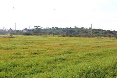 Farm hus i Ostuni, Brindisi, Ostuni - € 150.000 | Ref: RH-23041-property-1172289 - foto 13
