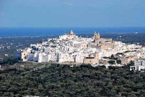 Farm hus i Ostuni, Brindisi, Ostuni - € 150.000 | Ref: RH-23041-property-1172289 - foto 16