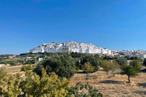 Farm hus i Ostuni, Brindisi, Ostuni - € 150.000 | Ref: RH-23041-property-1172289 - foto 17