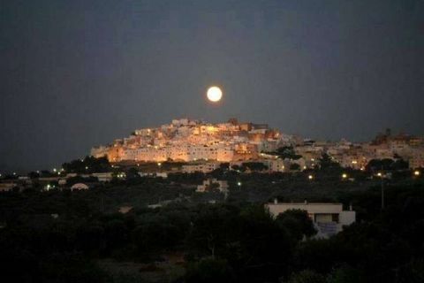 Farm hus i Ostuni, Brindisi, Ostuni - € 150.000 | Ref: RH-23041-property-1172289 - foto 18