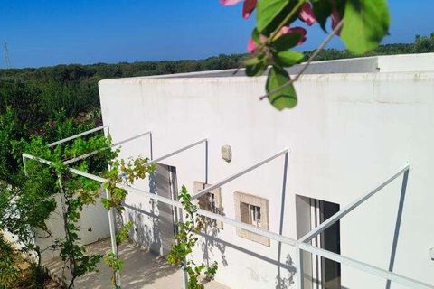 Villa i Carovigno, Brindisi, Carovigno - € 600.000 | Ref: RH-24482-property-1172371 - foto 8