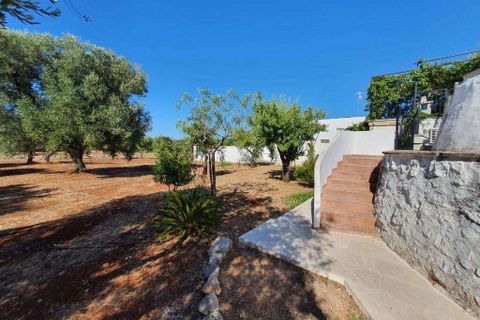 Villa i Carovigno, Brindisi, Carovigno - € 600.000 | Ref: RH-24482-property-1172371 - foto 21