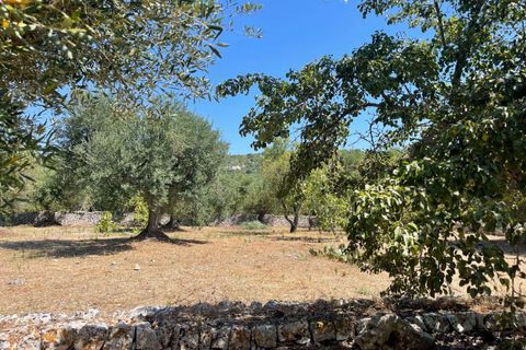 Farm hus i Ostuni, Brindisi, Ostuni - € 105.000 | Ref: RH-25947-property-1172493 - foto 12