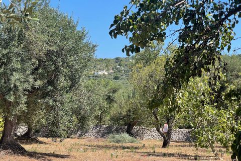Farm hus i Ostuni, Brindisi, Ostuni - € 105.000 | Ref: RH-25947-property-1172493 - foto 13
