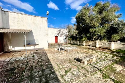 Villa i Carovigno, Brindisi, Carovigno - € 790.000 | Ref: RH-25971-property-1172507 - foto 14