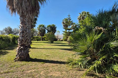Villa a Mesagne, Brindisi, Mesagne - € 385.000 | Ref: RH-27074-property-1172723 - foto 12
